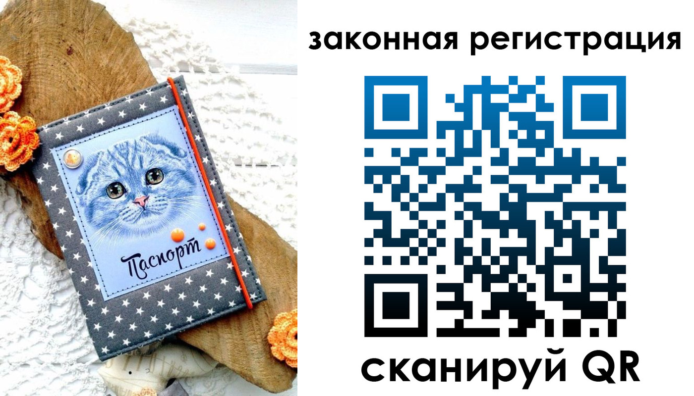 регистрация в Могочи